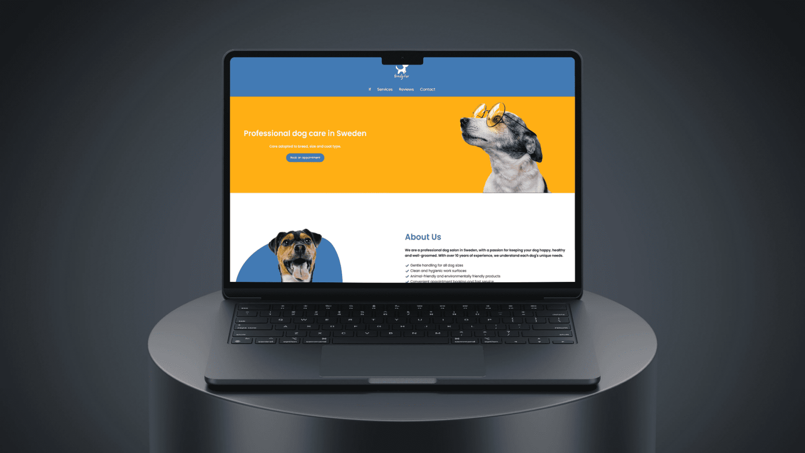 Hundsalong i Sverige visas på en laptop med gul och blå design och glada hundar för professionell hundvård.